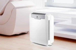 sua-may-loc-khong-khi-electrolux-1